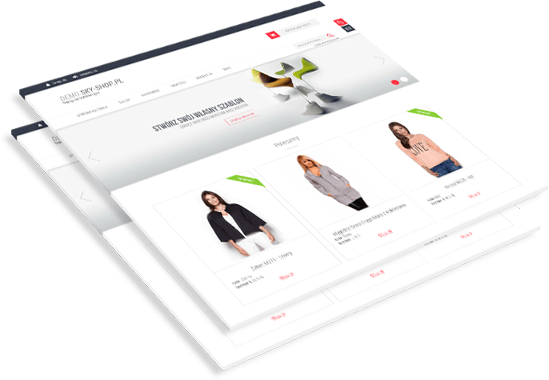 Modern graphics of the shop in RWD